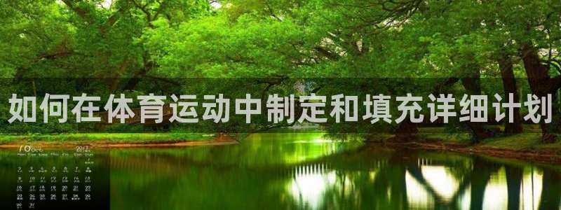 bsports必一运动：如何在体育运动中制定和填充详细计划