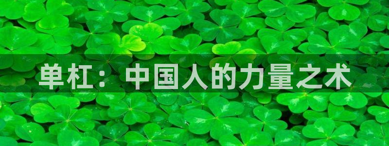 必一运动：单杠：中国人的力量之术