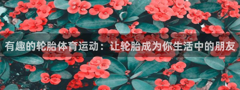 必一运动：有趣的轮胎体育运动：让轮胎成为你生活中的朋友