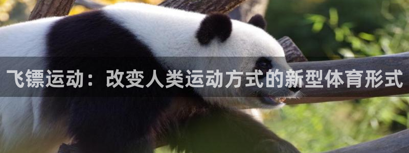 bsports官网 必一运动：飞镖运动：改变人类运动方式的新型体育形式