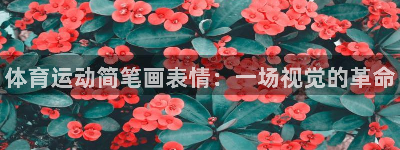 必一运动app：体育运动简笔画表情：一场视觉的革命